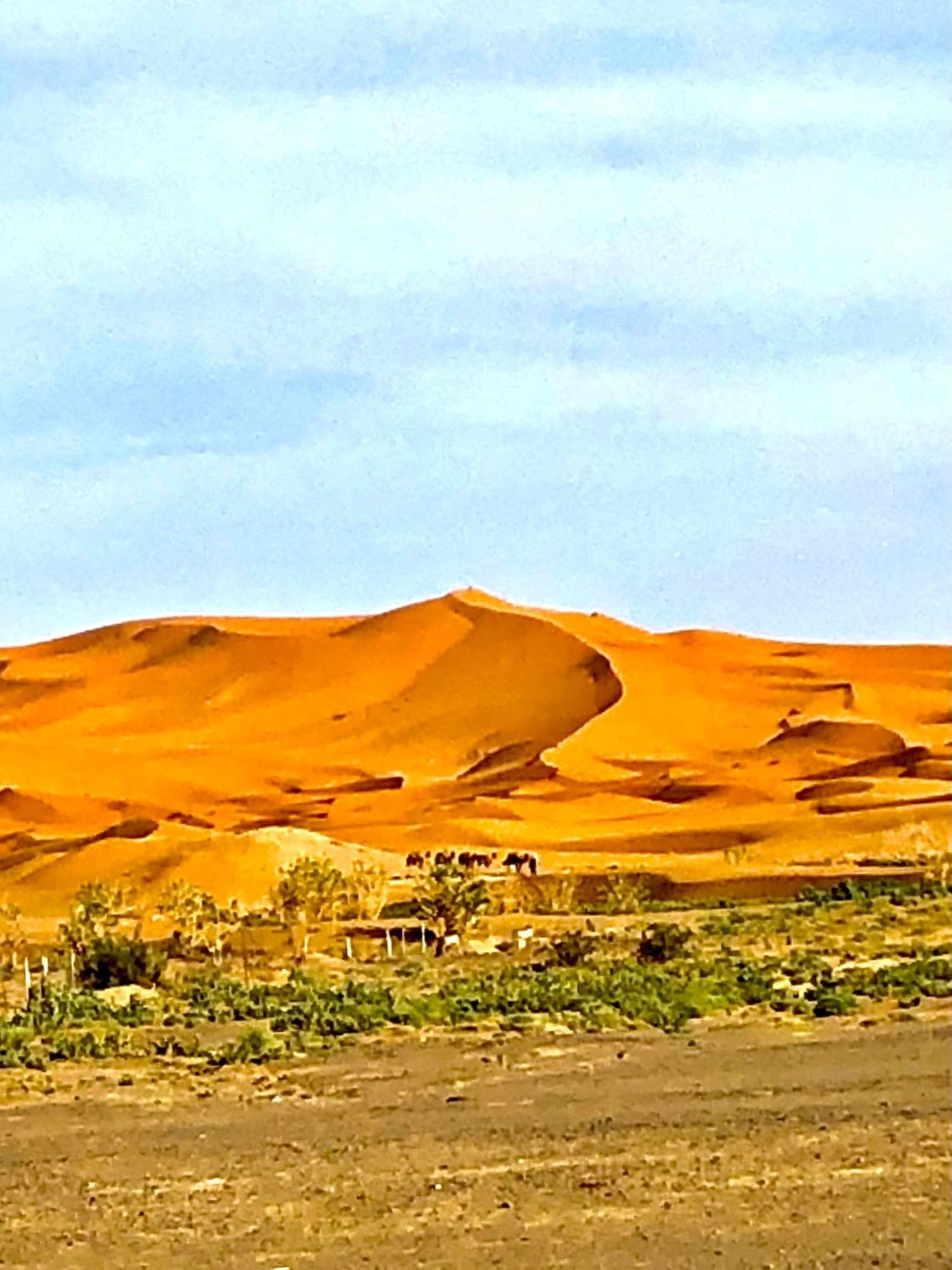 Bivouac La Fibule Des Dunes مرزوكة المظهر الخارجي الصورة